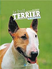 bebe bull terrier d'occasion  Livré partout en France