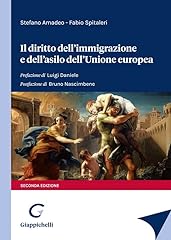 Diritto dell immigrazione usato  Spedito ovunque in Italia 
