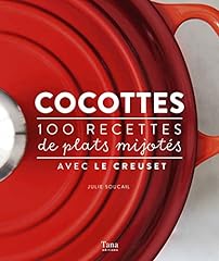 Cocottes 100 recettes d'occasion  Livré partout en France