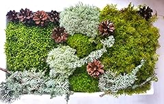 Moss super set usato  Spedito ovunque in Italia 