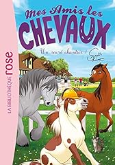 Amis chevaux sacré d'occasion  Livré partout en France