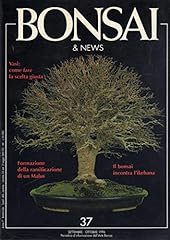 Bonsai & News 37 settembre-ottobre 1996 Il Bonsai incontra l'ikebana-Hotel Isobe usato  Spedito ovunque in Italia 