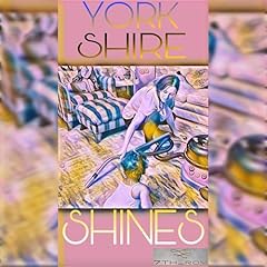 York shire shines usato  Spedito ovunque in Italia 