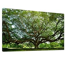 Green big tree for sale  Delivered anywhere in USA 