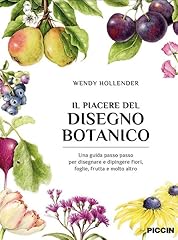 Piacere del disegno usato  Spedito ovunque in Italia 