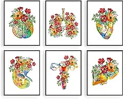 Watercolor anatomy flowers for sale  Delivered anywhere in USA 