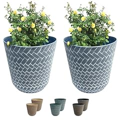 Traders nantucket plant for sale  Delivered anywhere in UK
