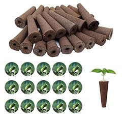 100 pcs seed for sale  Delivered anywhere in UK