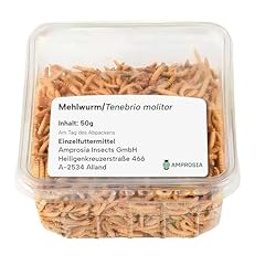 Amprosia mehlwürmer lebend gebraucht kaufen  Wird an jeden Ort in Deutschland