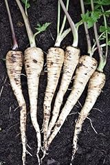 Roselyn seeds parsnip for sale  Delivered anywhere in UK
