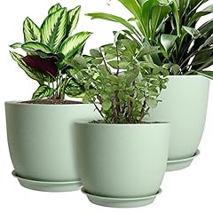 Muaeeok plant pots for sale  Delivered anywhere in UK