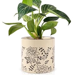 Sthie indoor ceramic for sale  Delivered anywhere in USA 