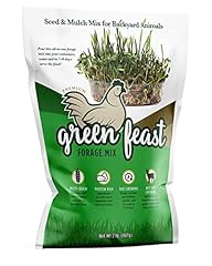 Amturf green feast for sale  Delivered anywhere in USA 