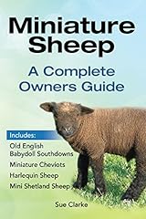 Miniature sheep. complete for sale  Delivered anywhere in USA 