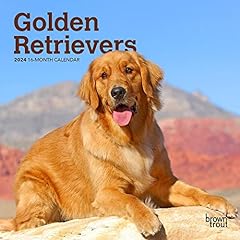 Golden retrievers 2024 for sale  Delivered anywhere in USA 