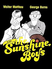 Sunny boys gebraucht kaufen  Wird an jeden Ort in Deutschland