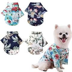Tyxhxtf pieces puppy for sale  Delivered anywhere in UK