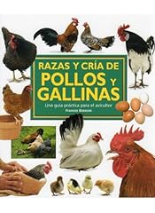 Razas cria pollos d'occasion  Livré partout en Belgiqu