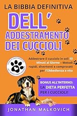 Bibbia definitiva dell usato  Spedito ovunque in Italia 