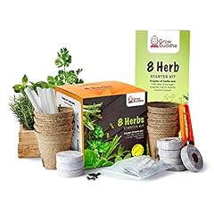 Grow buddha grow for sale  Delivered anywhere in UK
