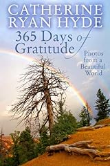 365 days gratitude for sale  Delivered anywhere in USA 