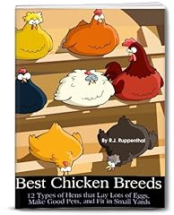 Best chicken breeds for sale  Delivered anywhere in USA 
