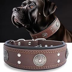 Collare per cane usato  Spedito ovunque in Italia 