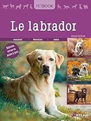 Labrador d'occasion  Livré partout en France