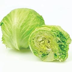 Gardeners kitchen lettuce for sale  Delivered anywhere in UK