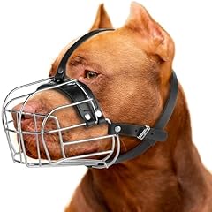 Clevertail large pitbull for sale  Delivered anywhere in USA 