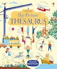 Big picture thesaurus d'occasion  Livré partout en France