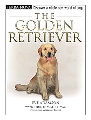Golden retriever for sale  Delivered anywhere in USA 