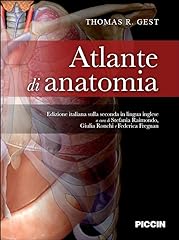 Atlante anatomia usato  Spedito ovunque in Italia 