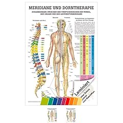 Rüdiger meridiane dorn gebraucht kaufen  Wird an jeden Ort in Deutschland