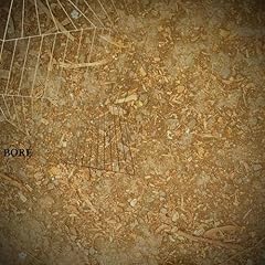 Mylonites gebraucht kaufen  Wird an jeden Ort in Deutschland