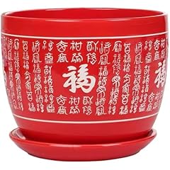 Vaso per piante usato  Spedito ovunque in Italia 