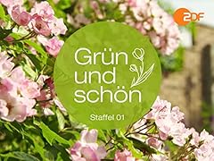 Grün schön gebraucht kaufen  Wird an jeden Ort in Deutschland
