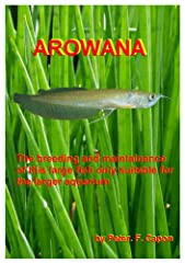 Arowana for sale  Delivered anywhere in UK