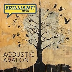Acoustic avalon usato  Spedito ovunque in Italia 
