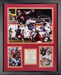 Michael vick framed for sale  Delivered anywhere in USA 