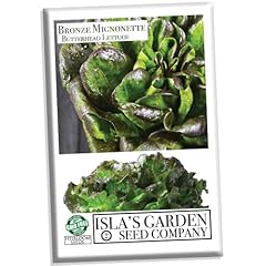 Bronze mignonette butterhead for sale  Delivered anywhere in USA 