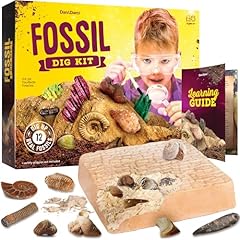 Real fossil dig for sale  Delivered anywhere in USA 