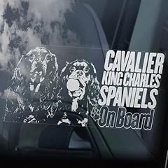 Lmmixee cavalier spaniel for sale  Delivered anywhere in UK