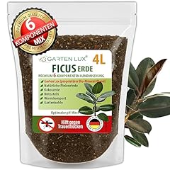 Garten lux ficus d'occasion  Livré partout en France