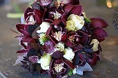 100 rare cymbidium d'occasion  Livré partout en France