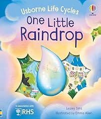 Little raindrop gebraucht kaufen  Wird an jeden Ort in Deutschland