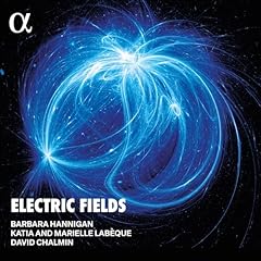 Electric fields for sale  Delivered anywhere in UK