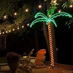 Led deluxe rope for sale  Delivered anywhere in USA 