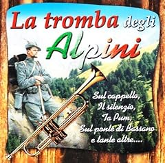 Tromba degli alpini usato  Spedito ovunque in Italia 