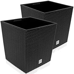 Deuba set plant for sale  Delivered anywhere in UK